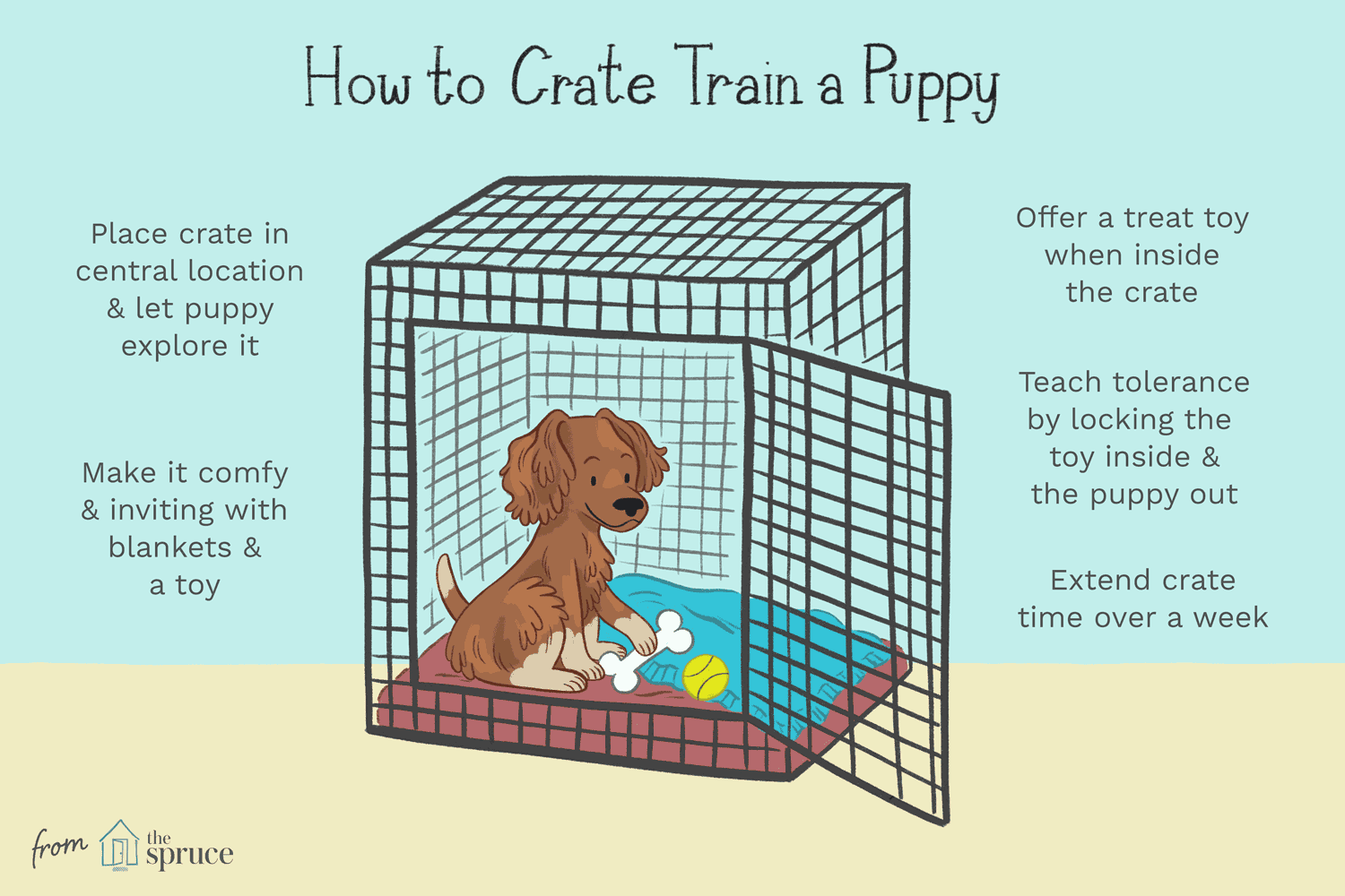 how-to-crate-train-a-dog-2