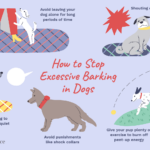 how-to-get-your-dog-to-stop-barking-2
