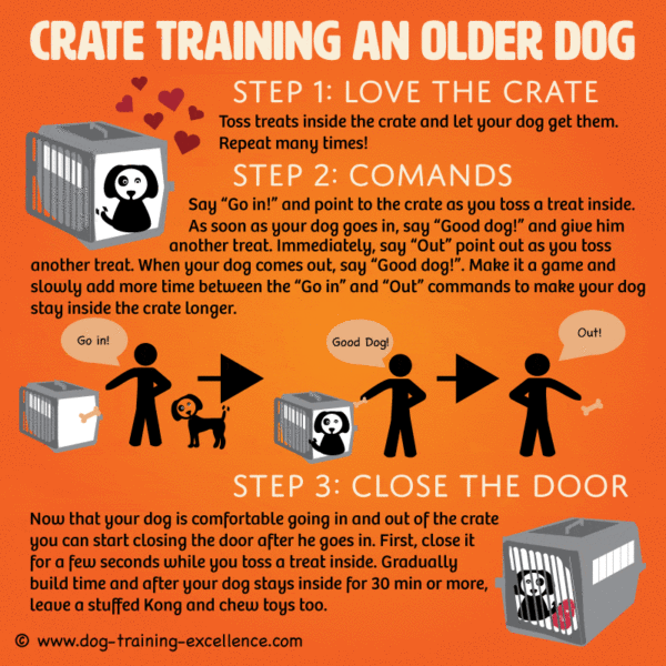adult-dog-crate-training-2