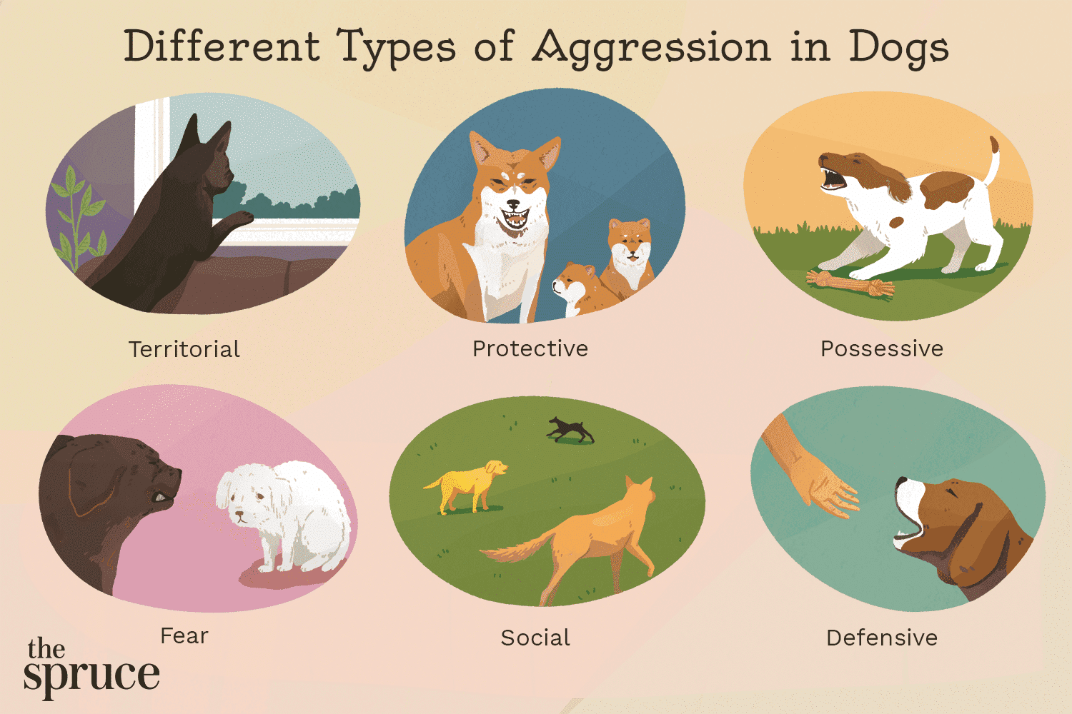 aggressive-dog-behavior-2