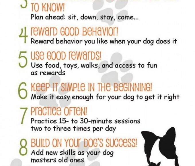 tips-on-dog-training-2