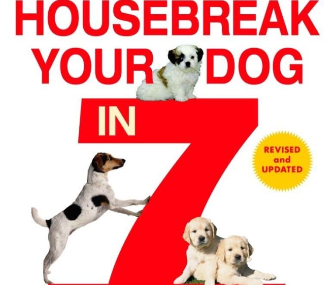 how-to-housebreak-a-dog-2