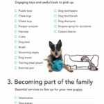 best-puppy-training-4-crucial-things-that-you-have-to-know-before-you-start-training-your-dog-2
