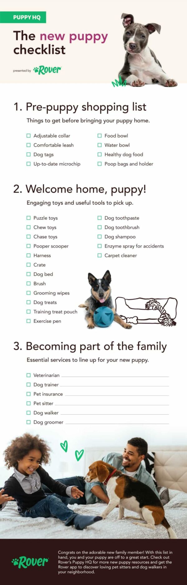 best-puppy-training-4-crucial-things-that-you-have-to-know-before-you-start-training-your-dog-2