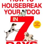 how-to-housebreak-a-dog-3
