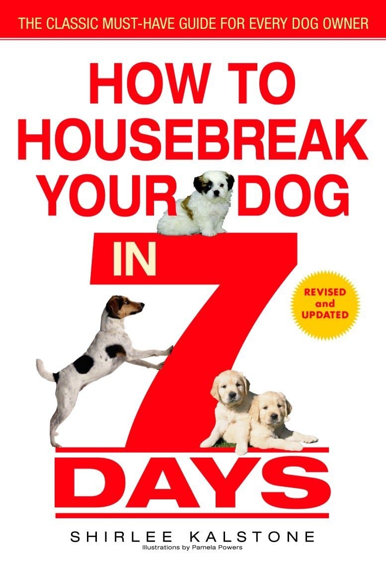 how-to-housebreak-a-dog-3