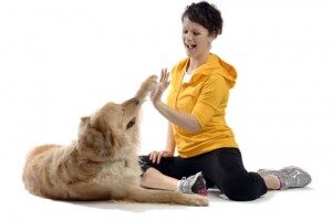 tips_on_dog_training-300x199-3234700