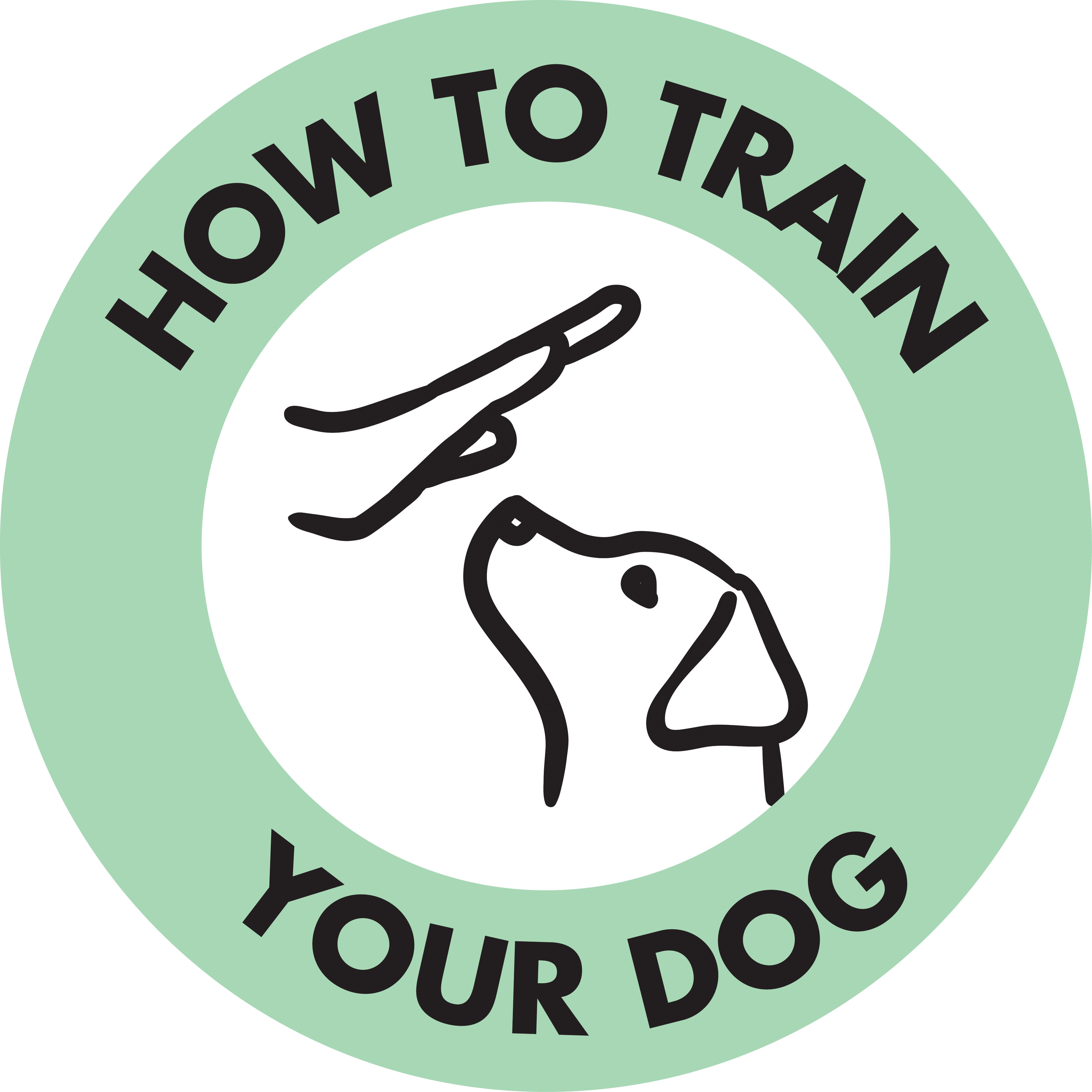 I Want to Train my Dog